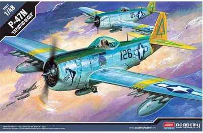 1/48 P-47N Expected Goose