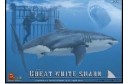 1/18 (1/16) Great white shark with diver