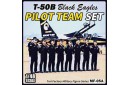 1/48 Black Eagles pilot team